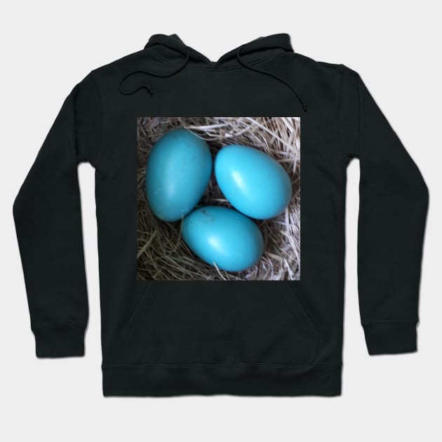 Robin Blue Eggs in Nest Hoodie by Judy Geller